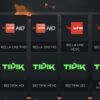 Foxx IPTV Abonnement Premium – Image 2