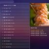 IPTV Standard – Image 2